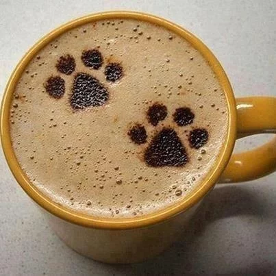 coffee-paw.webp