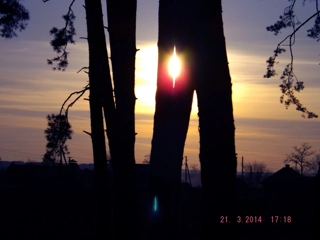 cOGU7U4erTY.webp
