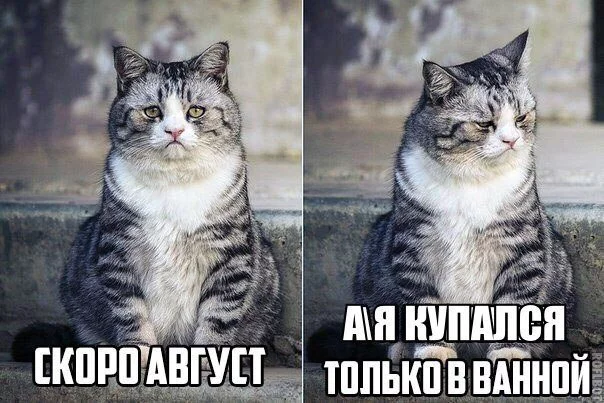 CoIeg0MXgAAvG5H.webp
