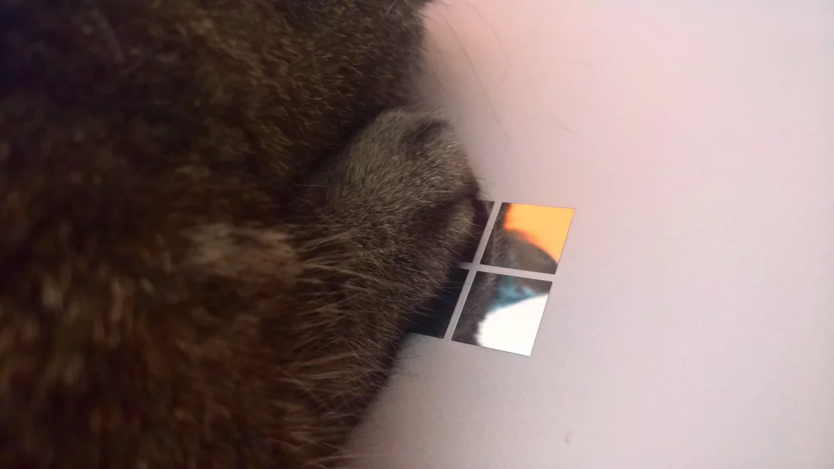 CoJGO0qUIAAycaL.webp