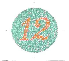 color-blindness-test-1.webp