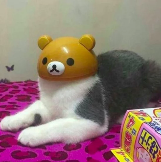 CoM2suXW8AAyHSz.webp
