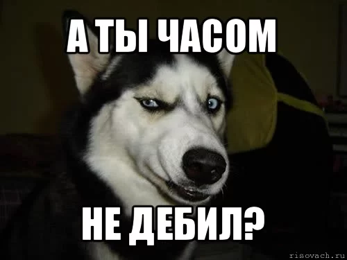comics_Sobaka-podozrevaka_orig_1338820921.webp