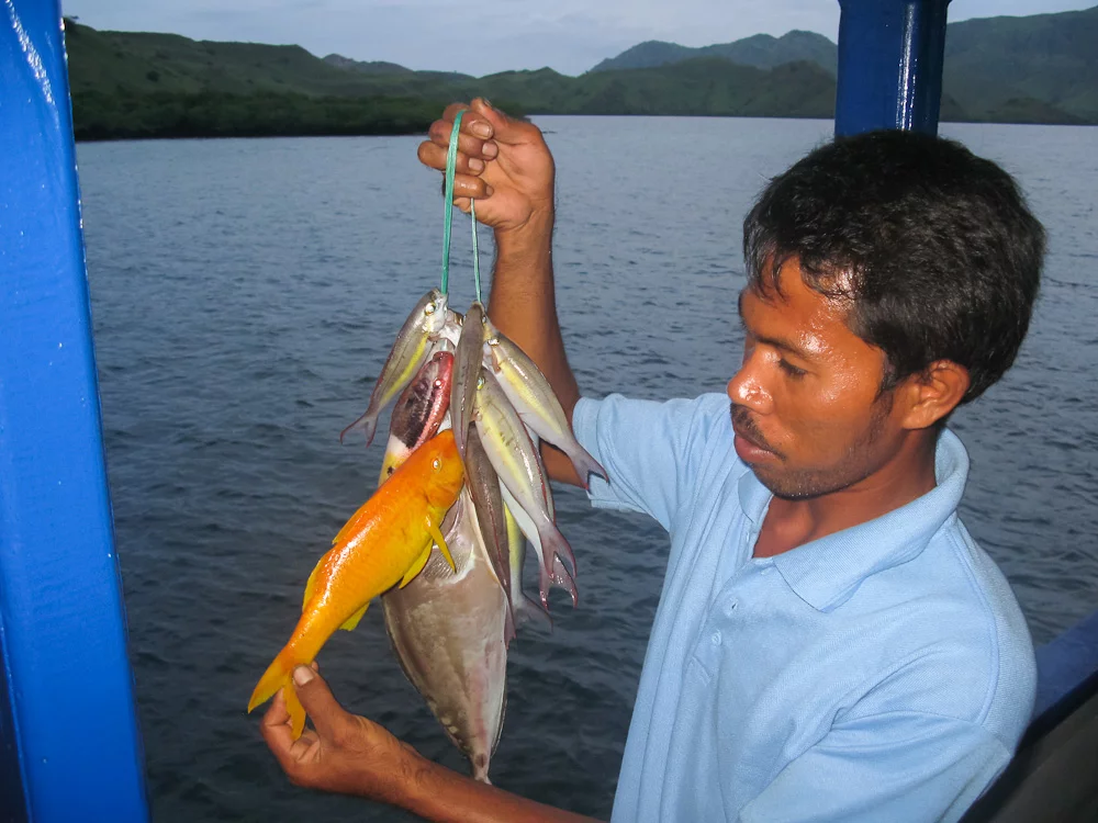 ComodoFish2.webp