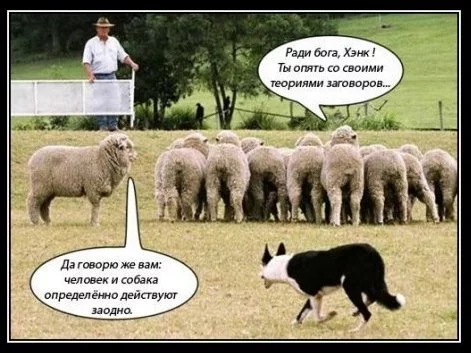 conspiracy_theory.webp