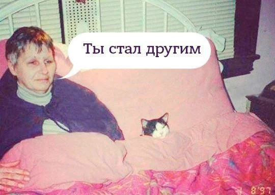CoOYHANXEAAyLqg.webp