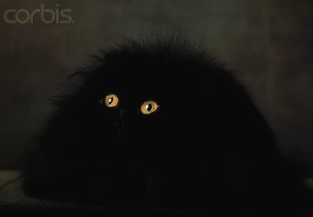 corbis-ya005807.webp