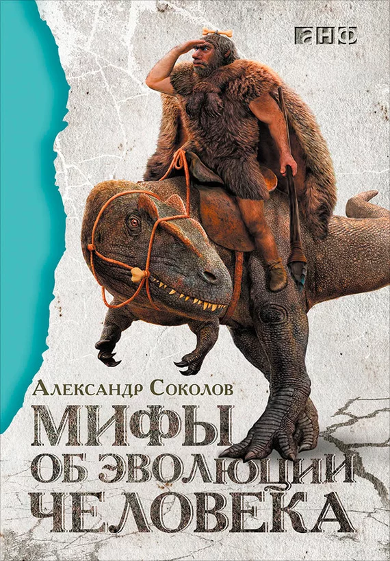 cover.webp