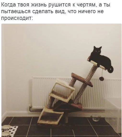 CoXZA_yWgAAH414.webp