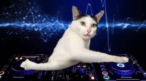 Cp69djnWIAI3qJT.jpg