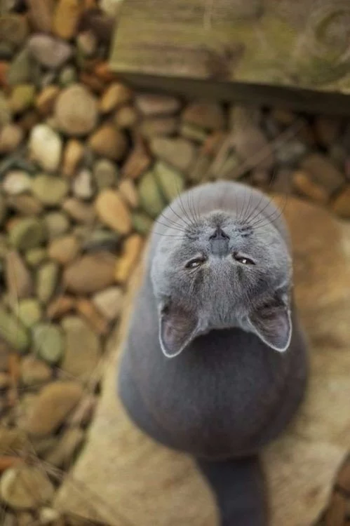 CpjcwcPWcAARGdD.webp