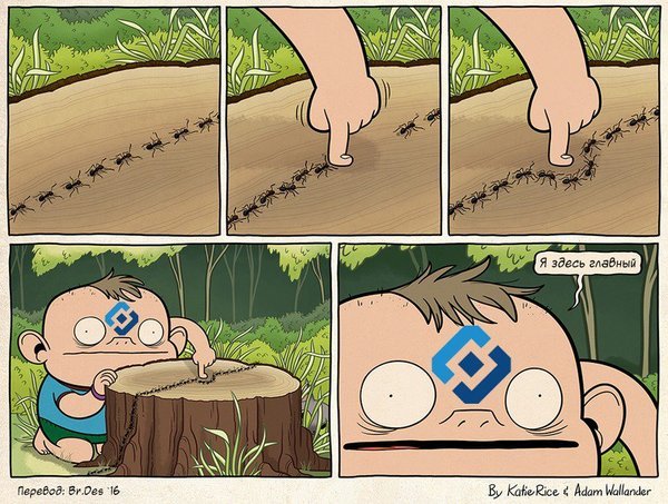 Cq309L_WYAA_TTR.jpg