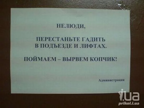 -cQEatXaetY.webp