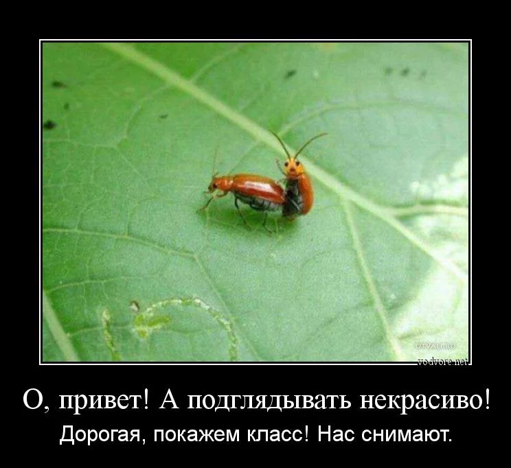 cr_157756914698580893660.webp