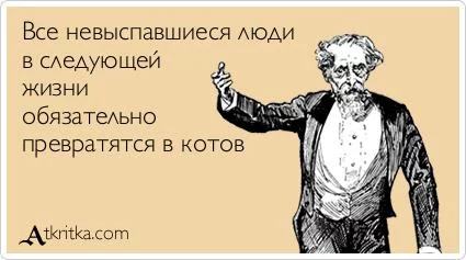 CRqPtUlUwAAk5vL.webp