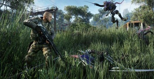 crysis-3---field---12-6-12-c-1354803911_530x298.jpg