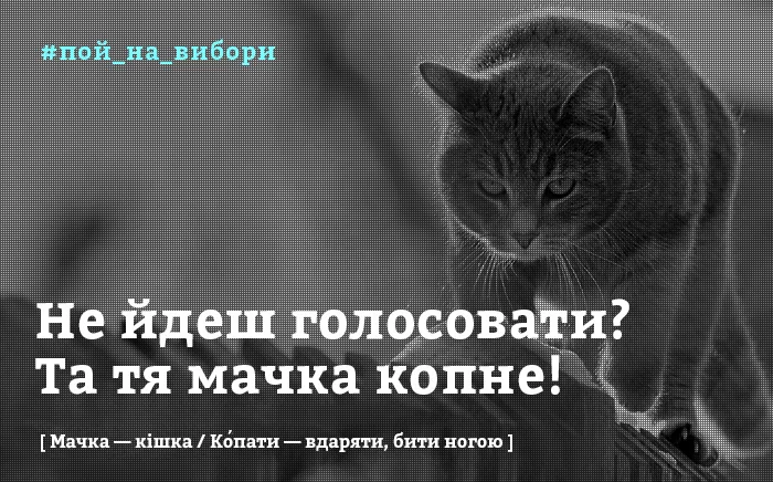 CSFmozcUwAAV-7l.webp
