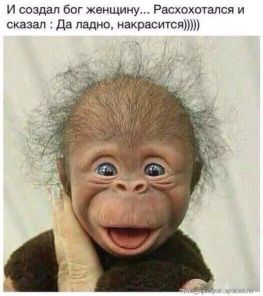 CSlrdhmUAAAbtpV.webp