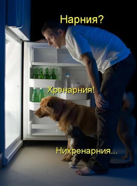 cTgdC7475oI.webp