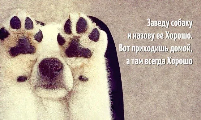 CTH0D_-UAAES8Pi.webp