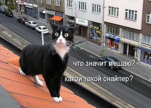 CTHlXvLUwAAMNfG.webp