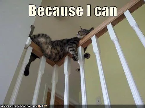CTjCRWhW4AAcuCC.webp