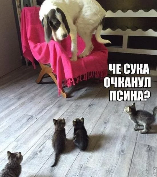 CTMQAR8XAAATW6h.webp