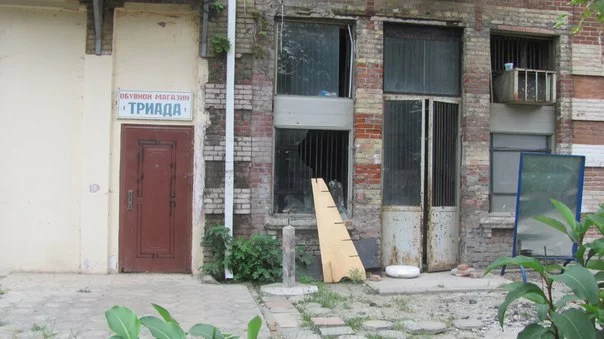 ctQKgSdnR7M.webp