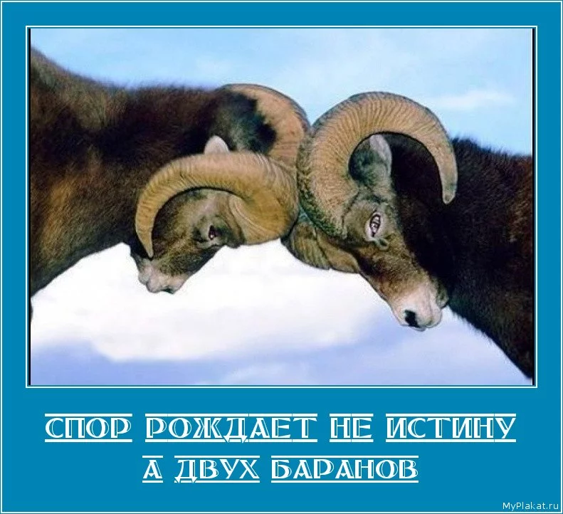 CTRsg7cUEAA00bC.webp