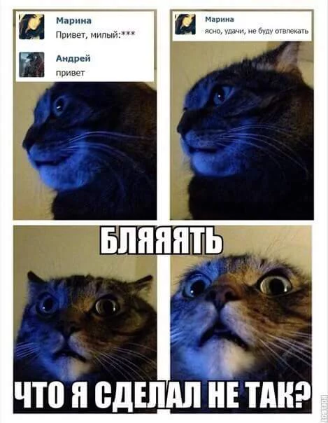 CtyNuxYXEAIfTKk.webp
