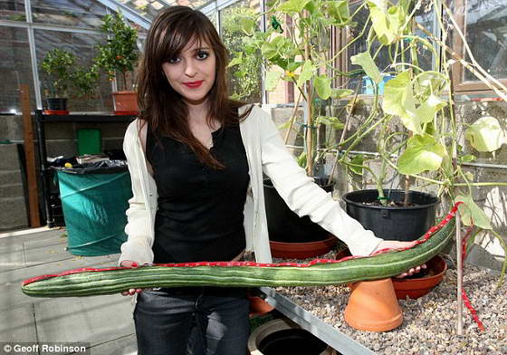 cucumber.jpg