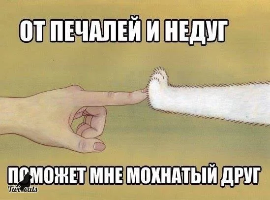 Cv4LUaWXYAE04K1.webp