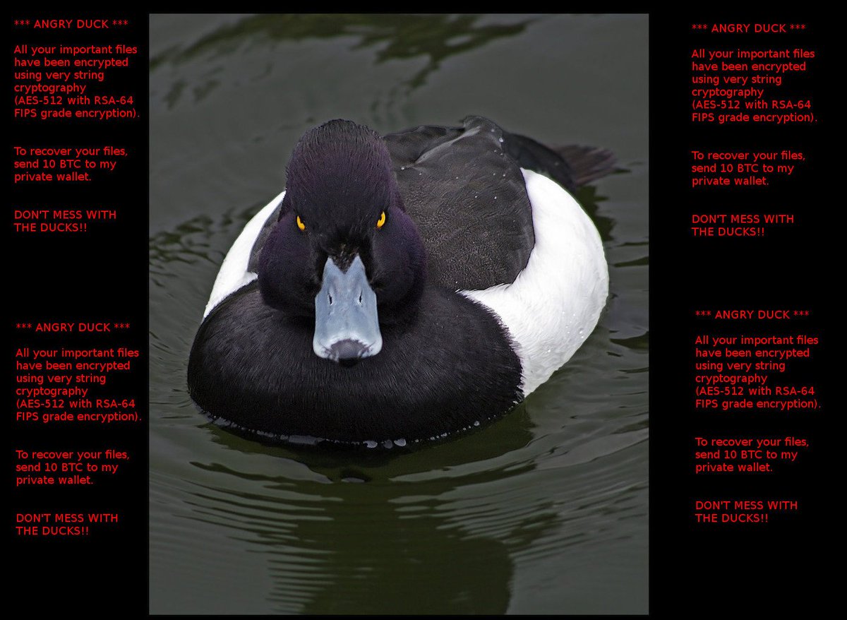 CvfTgv-WcAA6IFY.jpg