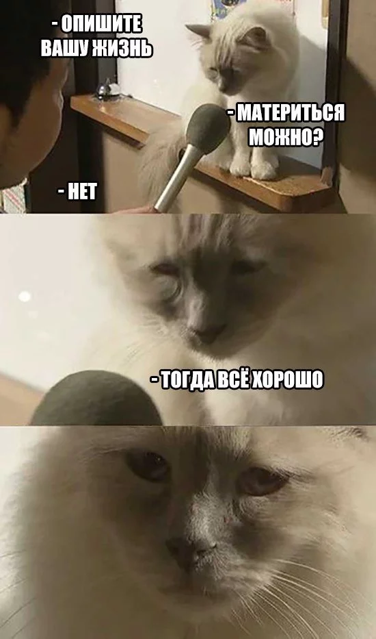 CvieIIQXYAAU6PS.webp