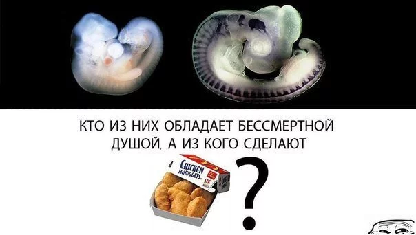 CvKsUOKWgAAg_ux.webp