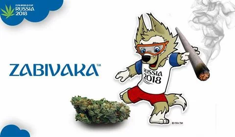 CvYGoaHWgAAll0d.webp