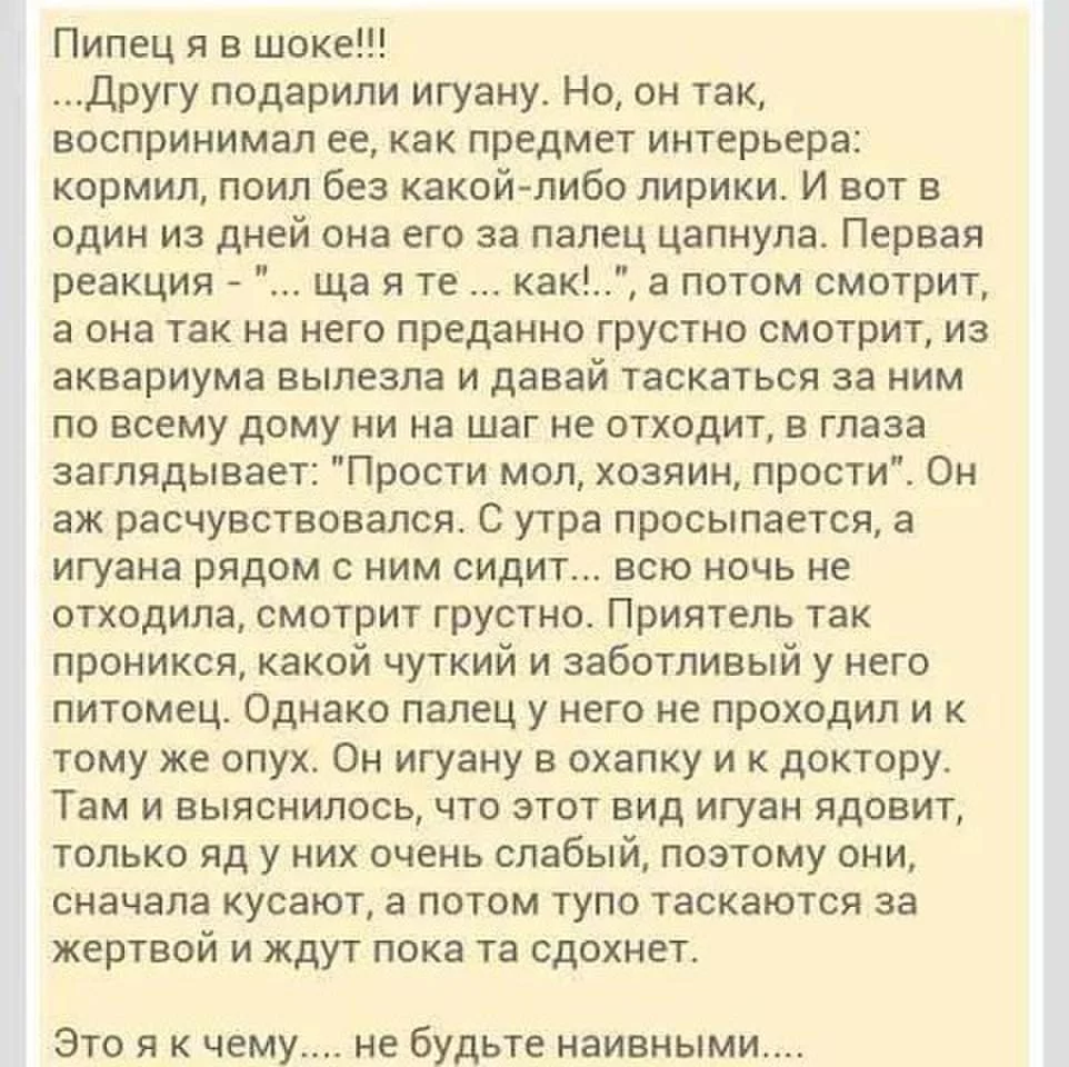 CwKvXGFUkAA2EDS.webp