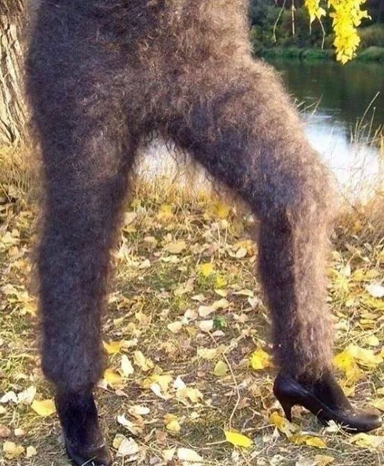CwmYuZcXgAAMWDR.webp