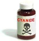 cyanide1.webp