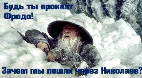 CZBulYOWkAAxVsT.webp