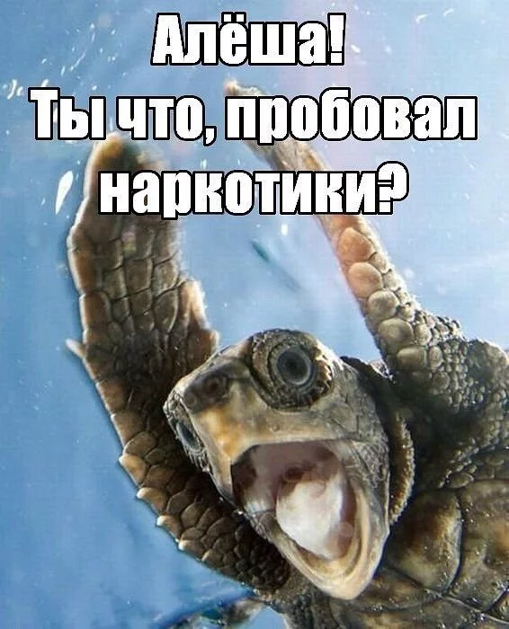 CzG26tRXAAEXDrt.webp