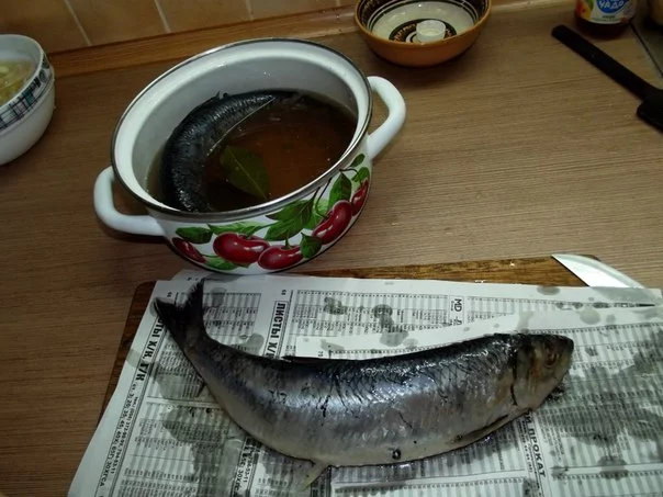 cznGtNuCcRc.webp