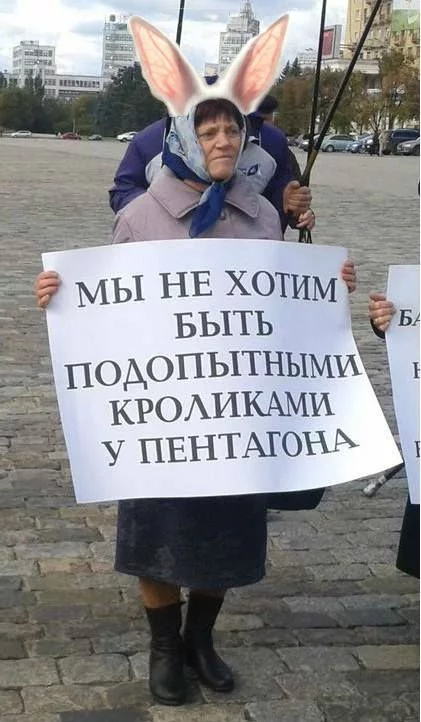 CZykCviWIAAjj1B.webp