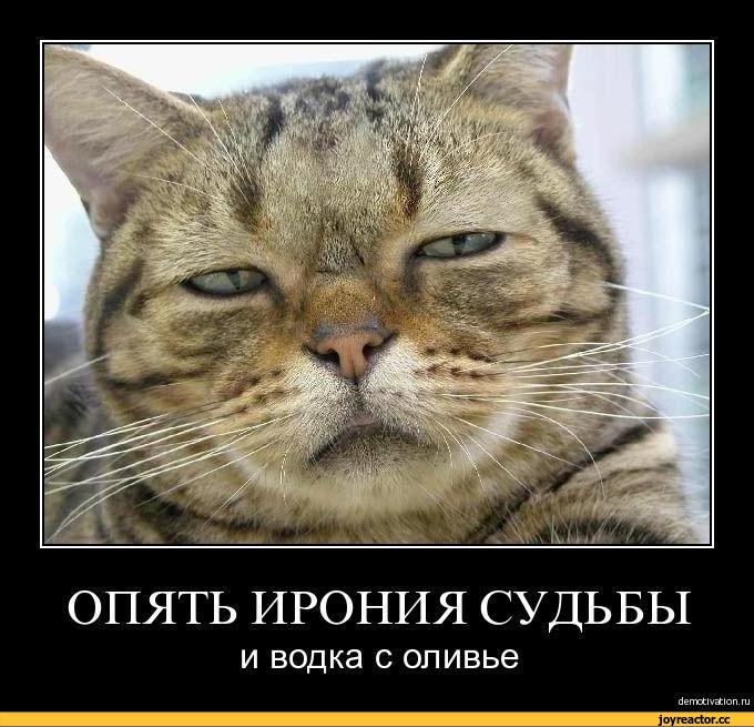 D%D0%BE%D0%B2%D1%8B%D0%B9-%D0%B3%D0%BE%D0%B4-37577.jpg