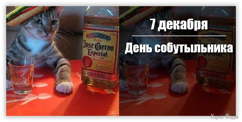Д с.jpg