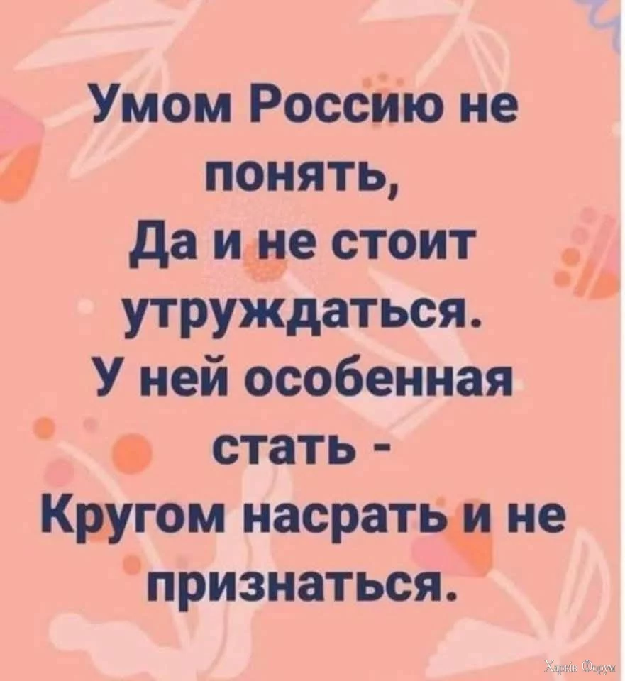 D-sskqyu2xB4fQMk&_nc_zt=23&_nc_ht=scontent.flwo4-2.webp