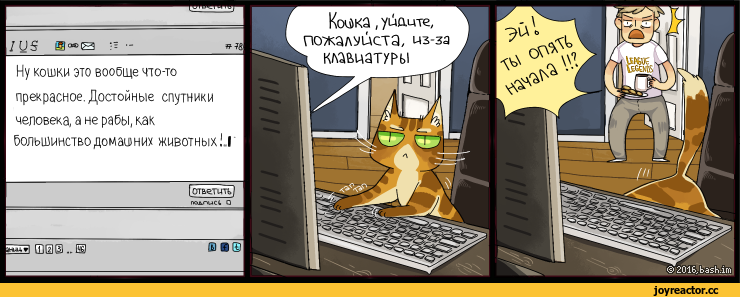 %D0%9A%D0%BE%D0%BC%D0%B8%D0%BA%D1%81%D1%8B-3503065.png
