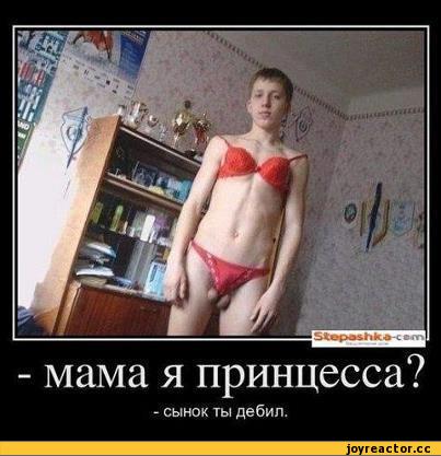 %D0%9A%D0%BE%D0%BC%D0%B8%D0%BA%D1%81%D1%8B-365568.jpg