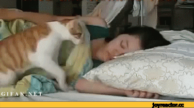 %D0%B0%D0%BB%D1%91%D0%BD%D0%BD%D0%BE%D0%B5-1628851.gif