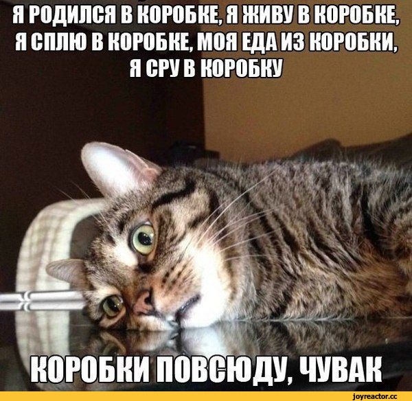 %D0%B0%D1%80%D1%82%D0%B8%D0%BD%D0%BA%D0%B8-1552811.jpg